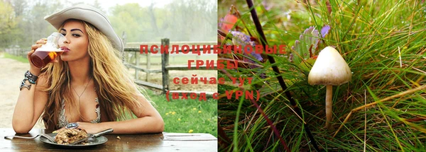 амф Балабаново
